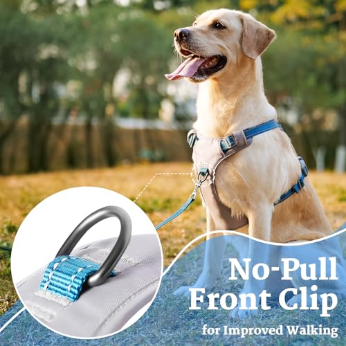 Huntboo No-Pull Dog Harness, Fully Reflective Vest with 2 Leash Clips, No-Choke, Adjustable, Breathable & Durable for Small, Medium & Large Dogs Walking, Training, Running (Teal Blue, L)