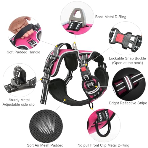 HEELE Dog Harness, Neck Release, No Pull Front Clip Vest, Fuchsia, S - color: Lock Fuchsia, size: S (Pack of 1)