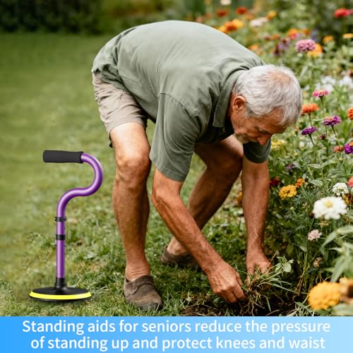 Standing Assist Devices Mobility Aids to Help Get up from Floor for Seniors - color: Matte Purple