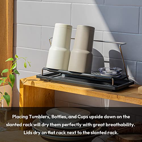 carrotez Bottle Drying Rack with Drain Tray, Black - color: Black