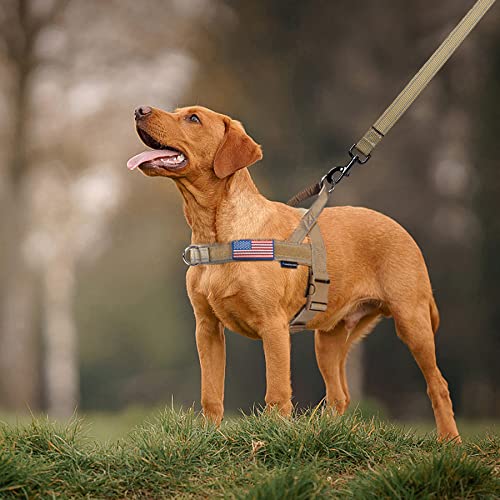 Annchwool No Pull Dog Harness with Padded Handle+5 Ft Leash(Brown-Set,S) - color: Brown Set, size: S