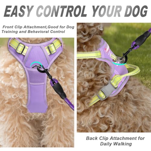 BARKBAY Dog Harness No Pull for Small Sized Dog Front Back Clips,Dog Vest - color: Violet Purple & Sunlight, size: X-Small(Chest:15.5-19.5”)