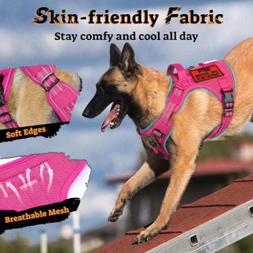 rabbitgoo Tactical Dog Harness for Small Dogs, No Pull Service Pet Vest - color: Rose Red, size: S(Chest:16.1"-31.5",Neck:15.4"-21.6",Back:7.1")