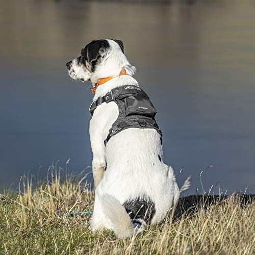 Kurgo Stash n' Dash Dog Harness, Black, Extra Large - size: X-Large