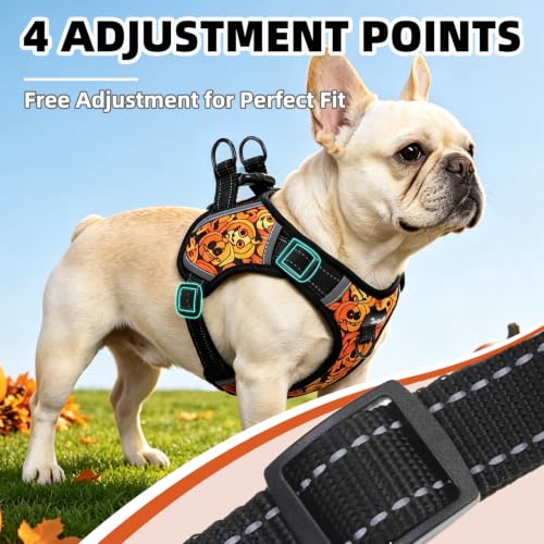 PUPTECK Halloween Dog Harness Small Sized Dog, Step in Adjustable Reflective Dog Vest Harness Escape Proof, No Pull Soft Padded Harness Easy Control, Black S - color: Black(Halloween), size: S (CHEST: 13"-18")