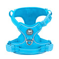 PoyPet No Pull Dog Harness, Reflective Vest with 2 Leash Clips & Handle - color: Blue(Matching Trim), size: S