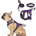 WINSEE Pet Harness Collar and Leash Set, All-in-one Reflective Dog Harness No Pull with Adjustable Buckles for Puppies, Small, Medium, Large, and Extra-Large Dogs (Small, Purple) - color: Purple, size: Small