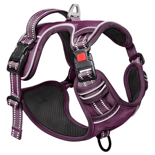 HEELE Harness Small Dog, No Pull No Choke Vest, Easy On & Off, Purple, S - color: Lock Purple, size: S (Pack of 1)