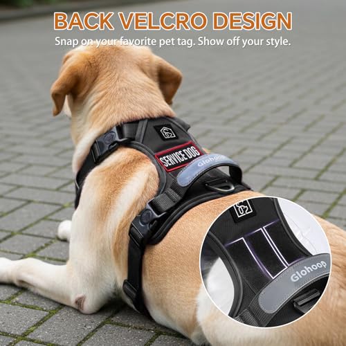 Heavy Duty Tactical Dog Harness, No Pull Dog Vest Harness with Handle & Front Clip, Reflective Soft Padded, Hook and Loop Panel, Dog Vest for Walking, Service Training, Black, Medium - color: Black, size: Medium