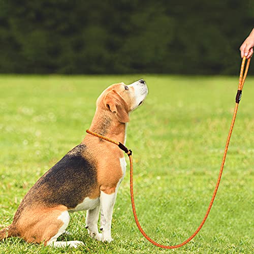 PetiFine Slip Lead Dog Leash Reflective, 6FT x 1/2" Heavy Duty Slip Leash - color: Orange, size: 1/2" x 6 FT