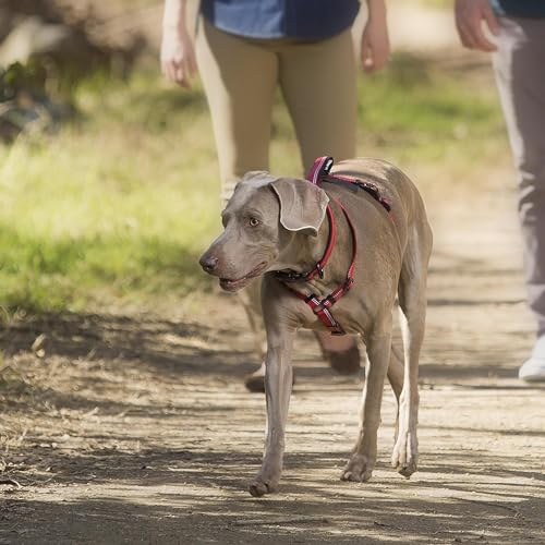 Halti Walking Dog Harness | Size Small, Blue - color: Blue, size: Small