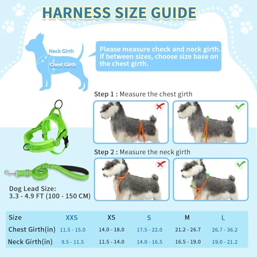 SlowTon No Pull Small Dog Harness and Leash Set with Front Clip - color: Green, size: Small