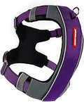 EzyDog X-Link Dog Harness, No Pull Design with Front D-Ring - Small, Purple - color: Purple, size: Small