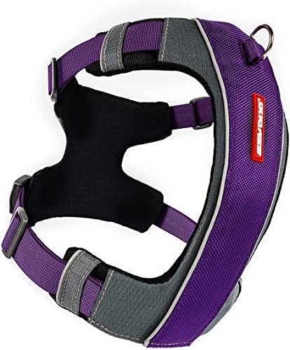 EzyDog X-Link Dog Harness, No Pull Design with Front D-Ring - Medium Purple - color: Purple, size: Medium