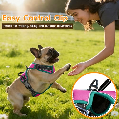 No Pull Dog Harness, No-Choke Soft Padded Reflective Dog Vest Harness with Front Clip & Top Handle, 2 Quick-Release Buckles, Adjustable for Small Medium Large Dogs - color: Pink/Turquoise, size: X-Small