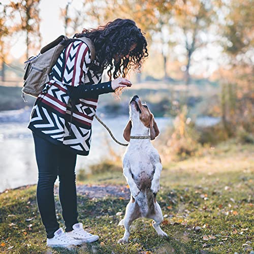 PetiFine Slip Lead Dog Leash Reflective, 6FT x 1/2" Heavy Duty Slip Leash - color: Grey, size: 1/2" x 6 FT