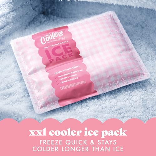 Cool Coolers by Fit & Fresh XL High Performance Cooler Ice Packs, 2pk - color: Pink Gingham (2 Pack)