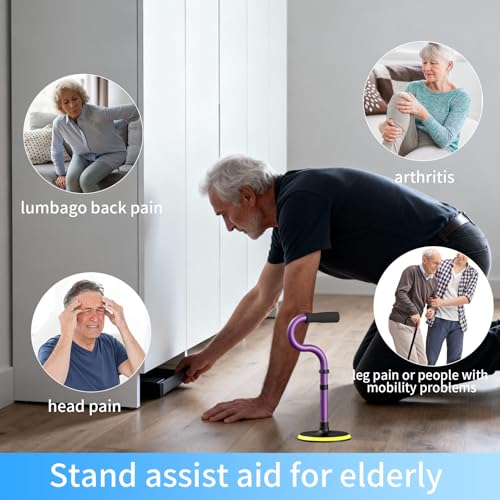 Standing Assist Devices Mobility Aids to Help Get up from Floor for Seniors - color: Matte Purple