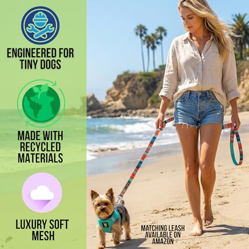 EcoBark Teacup Dog Harness, Soft Step in Puppy Vest, XXXS, Under 5 Lbs - color: Mint Turquoise, size: XXXS- 2 to 3 lbs- Chest up to 10 in (Pack of 1)