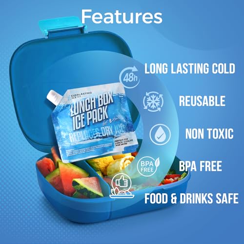 Everlasting Ice RX Reusable Ice Packs for Cooler (4 Pack) Up to 48 Hours Freezer Packs for Coolers and Lunch Boxes Cooler Ice Packs for Lunch Box, Camping, Fishing, Beach, Road Trips - size: Large 9.5" x 9.5" (4 Pack)