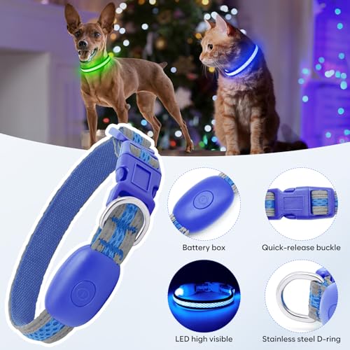 Flashseen LED Dog Collar, Light Up Dog Collar USB Rechargeable, Blue, XS - color: Blue, size: X-Small