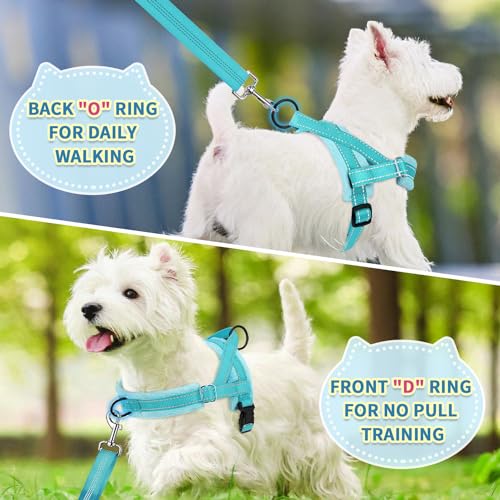 SlowTon No Pull Small Dog Harness and Leash Set with Front Clip - color: Teal, size: Small