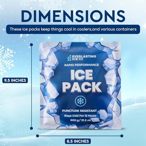 Reusable Ice Packs for Coolers and Lunch Box, Long Lasting 12 Hours, 4 Pack - size: 21 oz / 600 Grams