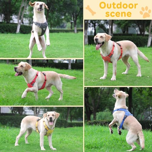 LIOPARD Dog Harness, Easy Walk Pet Harness No Pull with 2 Leash Clips, Reflective Running Soft Padded Adjustable Puppy Vest, Heavy Duty Seatbelt Harness for Car for Small Dogs (red, S)