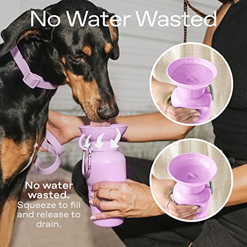 Springland 15oz Classic Portable Dog Water Bottle with Built-in Bowl, Blue - color: Sky Blue, size: 15oz Mini