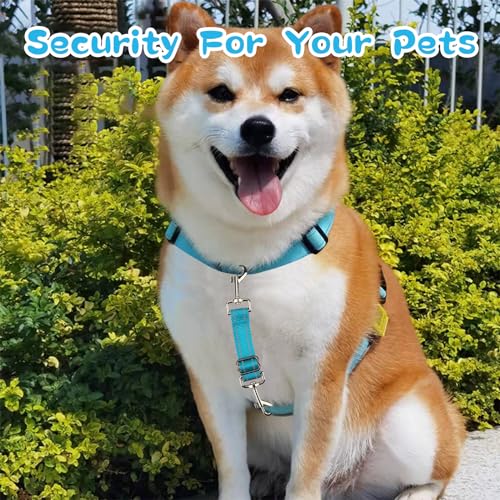 YUEPET Dog Safety Collar Clips 5 Pack Adjustable Prong Collar Backup Clips - color: Blue+Rose red+Orange+Pink+Green