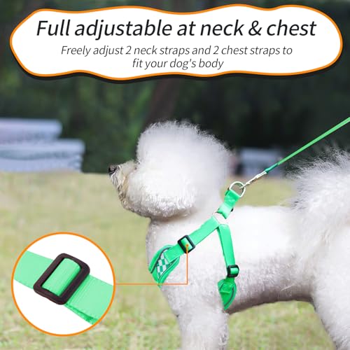 Dog Harness with Leash Set, No Pull Adjustable Step in Pet Vest - color: Green (denim), size: S