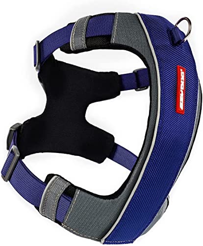EzyDog X-Link Dog Harness, No Pull Design with Front D-Ring - Small, Blue - color: Blue, size: Small