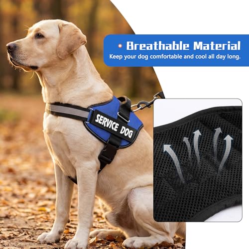 MUMUPET Service Dog Harness, No Pull & Reflective Pet Vest, Blue, S - color: Blue, size: Small