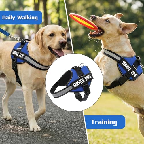 MUMUPET Service Dog Harness, No Pull & Reflective Pet Vest, Blue, S - color: Blue, size: Small
