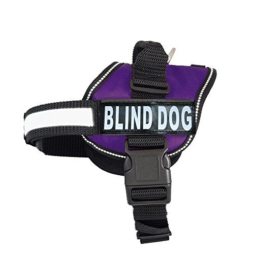 Doggie Stylz Blind Dog Harness, No Pull, Adjustable - color: Purple, size: Girth 12-16"