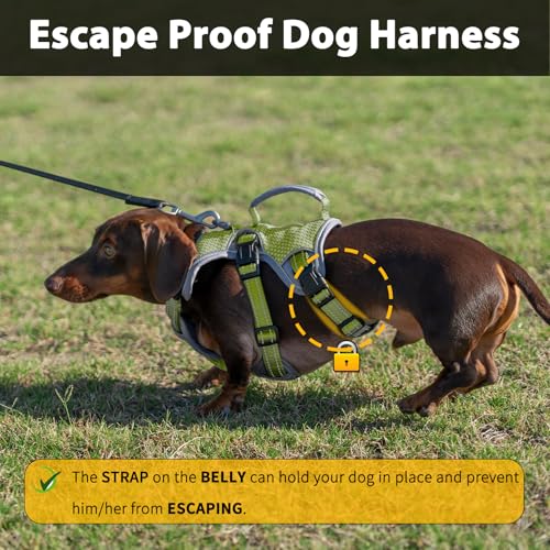 Huntboo Escape Proof Dog Harness, Dachshund Harness, Reflective Dog Harness with Handle, Durable,Adjustable Vest for Small Medium Large Dogs Walking, Training, and Running Gear (Green,S) - color: Green, size: Small(Pack of 1)