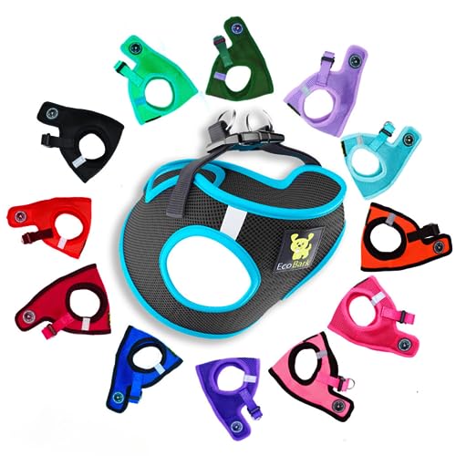 EcoBark Step in Dog Harness, Reflective No Choke Halter Vest, XXXS, Teal - color: Black and Teal Trim, size: XXXS- 2 to 3 lbs- Chest up to 10 in (Pack of 1)