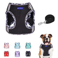 Step in Mesh Dog Harness and Leash Set Breathable Air Mesh Harness - color: Black, size: XXS(neck:8.5"-9.5",chest:10"-11.5")