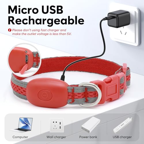Flashseen LED Dog Collar, Light Up Dog Collar USB Rechargeable, Red, XS - color: Red, size: X-Small