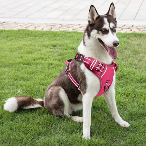 HEELE Dog Harness, Neck Release, No Pull Front Clip Vest, Reflective Rosy S - color: Lock Rosy, size: S (Pack of 1)