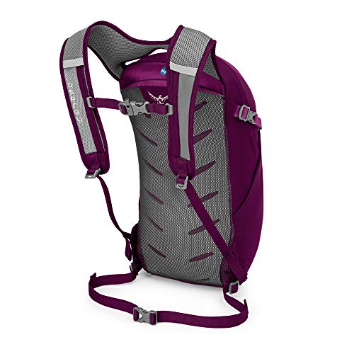 Osprey Daylite Everyday Backpack, Black - color: Eggplant Purple