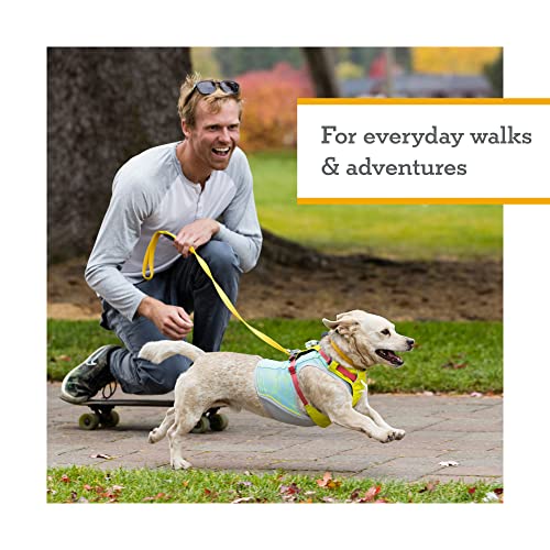Ruffwear, Hi & Light Dog Chest Harness, Basalt Gray, XXX-Small - color: Basalt Gray, size: XXX-Small