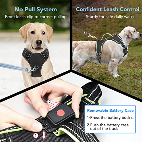 Light Up Dog Harness, Rechargeable LED Dog Vest for Night Walking - color: Black-Green, size: L