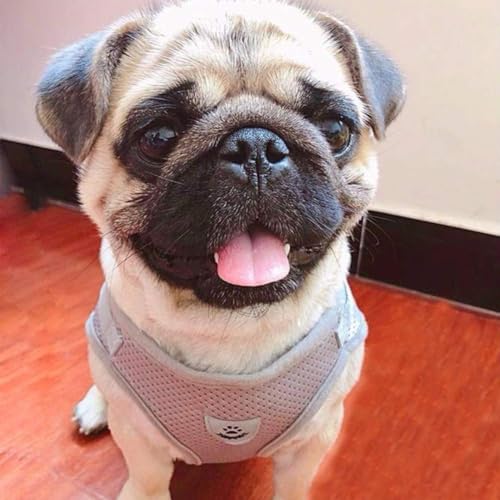 FEimaX Dog Harness and Leash Set for Walking, Soft Mesh Adjustable Easy Control Lightweight Cat Vest Harnesses with Reflective Strips, Escape Proof Small Dogs Cats Vests (Grey, Small) - color: Grey, size: Small