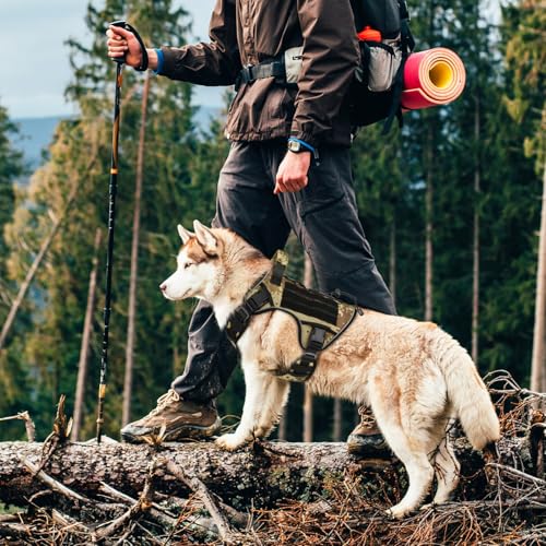 WINGOIN Tactical Dog Harness for Large Dogs,Heavy Duty No Pull Dog Harness - color: Camo, size: Large: 45-80 lbs (Chest:27-37",Neck:19-25")