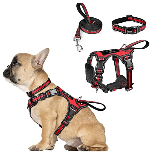 WINSEE Pet Harness Collar and Leash Set, All-in-one Reflective Dog Harness No Pull with Adjustable Buckles for Puppies, Small, Medium, Large, and Extra-Large Dogs (Small, Red) - color: Red, size: Small