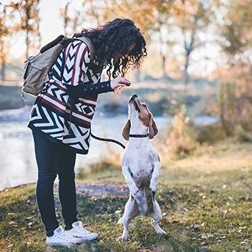 PetiFine Slip Lead Dog Leash Reflective, 6FT x 1/2" Heavy Duty Slip Leash - color: Black, size: 1/2" x 6 FT
