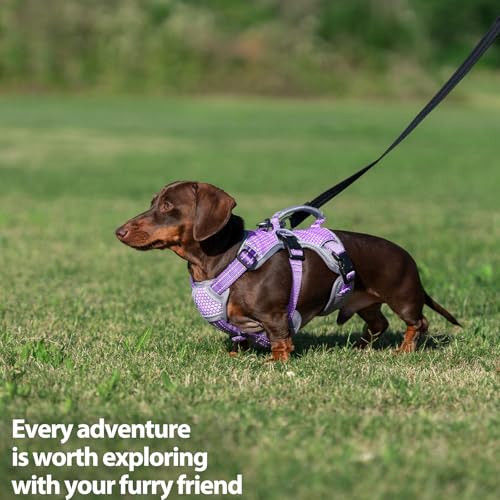 Huntboo Escape Proof Dog Harness, Dachshund Harness, Reflective Dog Harness with Handle, Durable,Adjustable Vest for Small Medium Large Dogs Walking, Training, and Running Gear (Lavender Purple,M) - color: Lavender Purple, size: Medium(Pack of 1)