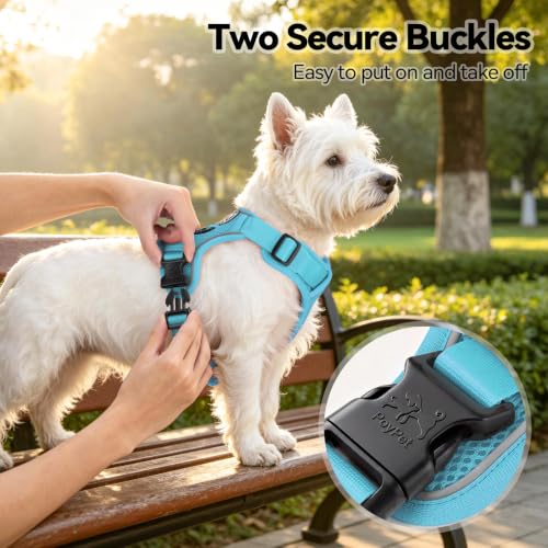 PoyPet Mesh Dog Harness, Reflective Breathable Puppy Vest for Small Dogs - color: Blue, size: S