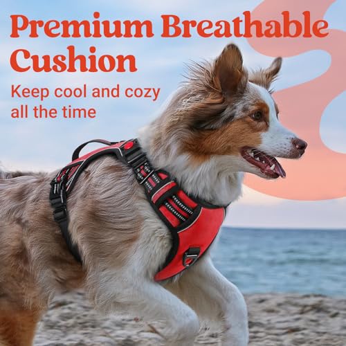 rabbitgoo Large Dog Harness, Easy Wear with 3 Buckles and Lift Handle - color: Red, size: Small